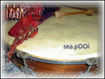 irish - Sea.Pool cover art